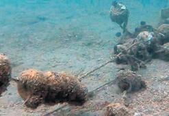 Sıcaklık arttı plankton çoğaldı