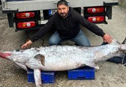 150 kiloluk kılıç balığını 30 bin TL'ye sattı