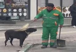 Sokak köpeğini süpürgesi ile kaşıyıp sevdi; temizlik personelinin o anları kamerada