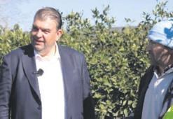 Seferihisar’da çiftçinin yüzü gülüyor