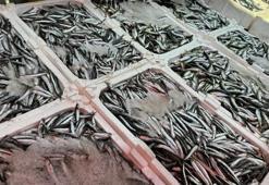 Av yasağına sayılı günler kala balık tezgâhları şenlendi