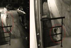 Üniversite öğrencisine röntgenci şoku! Her gece pencereden genç kızı izledi