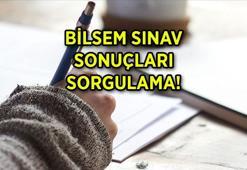 BİLSEM SONUÇLARI açıklandı mı, ne zaman açıklanacak? BİLSEM sonuç sorgulama ekranı: 2024 BİLSEM sınav takvimi