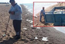 Sahilde tedirgin eden görüntü! Yüzlerce denizanası kıyıya vurdu