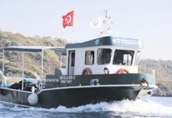 Mavilikler koruma altında!