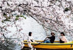 Japon şirketler saman nezlesi olan çalışanlarına 'tropikal kaçış' gezileri sunuyor