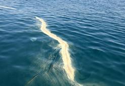 Turizm kenti Antalya'da panik! 'Rüzgarla taşınarak deniz üzerinde kümeleniyor'