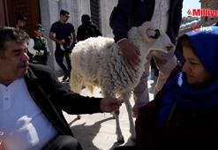 Eminönü'nde yanında gezdirdiği koç ilgi odağı oldu