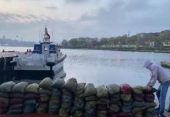 Üsküdar'da kaçak midye operasyonu!