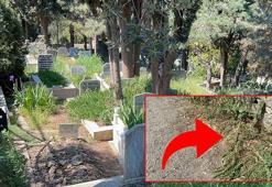 Döverek öldürdü, mezarlığa bırakıp kaçtı! İstanbul'da eski boksör dehşet saçtı