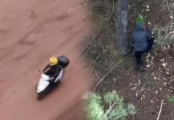 Yer: İstanbul! 'Pikachu' ormanda suçüstü yakalandı