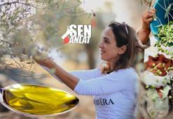 Annesini iyileştiren zeytinin peşine düştü! 'İşi bilmiyor' diyenlere inat dünya 4'üncüsü oldu
