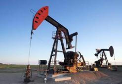 Dünya petrol bağımlılığından kurtulmalı...