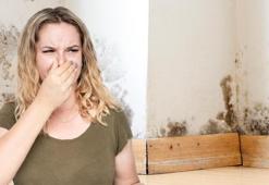 Tek çözümü koklamak! Nemin kaynağını bulmazsanız evi terk edin