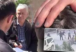 Bekçi ve boksör arasına pitbull kavgası: Sopayı aldım ikisinin kafasına geçirdim