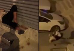 Adana'da dehşet! Pitbullu silah bile durduramadı