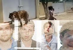 Kaplanlara yedirip deney yaptılar! İtirafçılardan mide bulandıran sözler, tüyler ürperten işkence