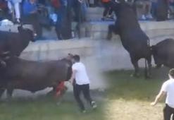 Burası İspanya değil Artvin! Güreştirilen boğa seyircilerin arasına daldı