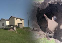Define avcıları sınır tanımıyor!  Ahırdan tünel kazarak tümülüsün altını oydular
