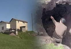 Define avcıları sınır tanımıyor! Ahırdan tünel kazarak tümülüsün altını oydular