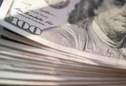 Merkez Bankası'nın rezervleri belli oldu