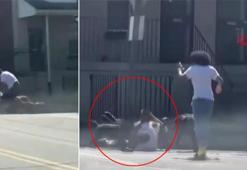 ABD’de köpek saldırısı paniği!