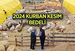 KURBAN KESİM BEDELİ 2024 DİYANET 💢 Vekaletle yurt içi ve yurt dışı kurban kesim bedeli ne kadar oldu, vekalet nasıl verilir?