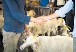 Vekaletle kesim için yurt içi hisse 11.750 TL