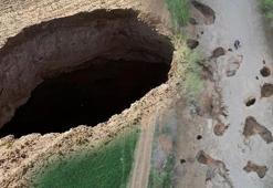 Kentte büyük tehlike! Yerleşim yerlerine doğru ilerliyor, her gün sayıları artıyor