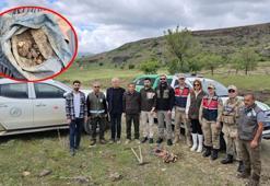 Biyolojik kaçakçılara rekor ceza! Yasak olmasına rağmen Tunceli'de topladılar