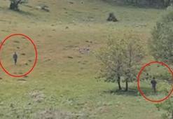 Tunceli'de salep kaçakçılarına suçüstü