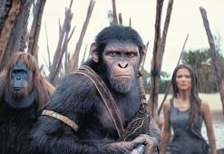 Düşmansız yaşamak mümkün mü?