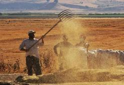 Tarım-ÜFE Nisan’da arttı