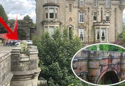 600 köpek bu köprüden atlayıp intihar etti! 3 ihtimal var: 'Kelimeler bile yetersiz'