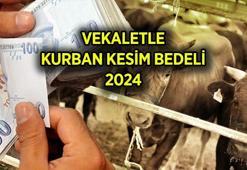 DİYANET KURBAN KESİM BEDELİ 2024 kaç TL, ne kadar oldu? Vekaletle kurban kesim bedeli yurt içi - yurt dışı