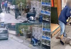 Yer: Kadıköy! Pitbull, sokak kedisine saldırdı