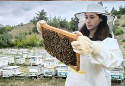 Üniversiteli Nilay, turizm sektörünü bırakıp arıcılığa başladı