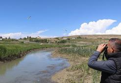 Van'da ekiplerin inci kefali nöbeti!