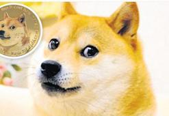 Kripto dünyasının simgesi Kabosu öldü