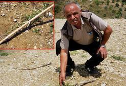 2,5 ay sıra bekleyip aldı, tarladaki manzara karşısında şoke oldu: Her yer böyle! Yazık değil mi?