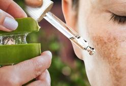 Güneş lekelerini yok eden doğal ilaç! Evinizde yetiştirin, şifası içindeki jelde saklı