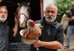 İstanbul’dan sıkılıp köyüne yerleşti! Adeta Ali Baba'nın çiftliği