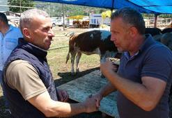 Kurban pazarlarında sıkı pazarlıklar başladı