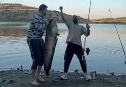 Bursa'da iki arkadaş oltayla 165 santimetrelik balık tuttu