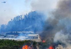 3 ilde orman yangını! Havadan ve karadan müdahale ediliyor