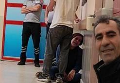 'Katil arılar' yetiştiricisini öldürdü