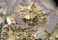 Çin altın alımına yeniden başlayabilir