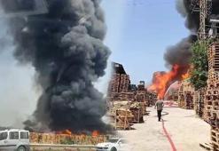 Kocaeli'de palet fabrikasında yangın! İstanbul'dan takviye itfaiye ekipleri sevk edildi