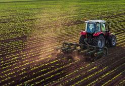 Tarım-ÜFE Mayıs’ta artış gösterdi