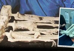 DNA'ları insanlarla eşleşmedi! Dünyayı şoke eden sonuç: Bu gen dizilimi mümkün değil